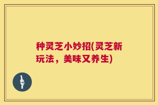 种灵芝小妙招(灵芝新玩法,美味又养生) 种灵芝小妙招(灵芝新玩法,美味又养生)