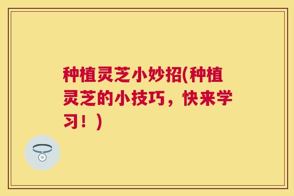 种植灵芝小妙招(种植灵芝的小技巧,快来学习!) 种植灵芝小妙招(种植灵芝的小技巧,快来学习!)