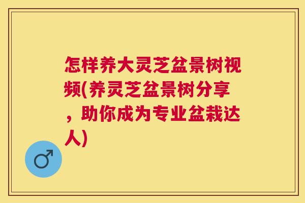 怎样养大灵芝盆景树视频(养灵芝盆景树分享,助你成为专业盆栽达人) 怎样养大灵芝盆景树视频(养灵芝盆景树分享,助你成为专业盆栽达人)