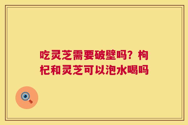 吃灵芝需要破壁吗?枸杞和灵芝可以泡水喝吗 吃灵芝需要破壁吗?枸杞和灵芝可以泡水喝吗