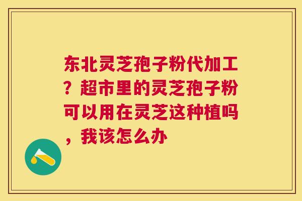 东北灵芝孢子粉代加工?超市里的灵芝孢子粉可以用在灵芝这种植吗,我该怎么办 东北灵芝孢子粉代加工?超市里的灵芝孢子粉可以用在灵芝这种植吗,我该怎么办