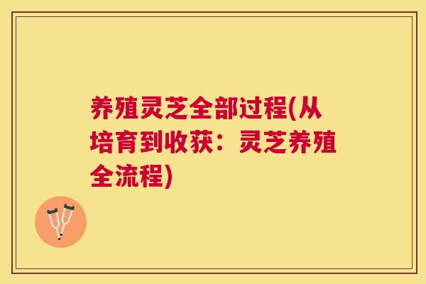 养殖灵芝全部过程(从培育到收获:灵芝养殖全流程) 养殖灵芝全部过程(从培育到收获:灵芝养殖全流程)