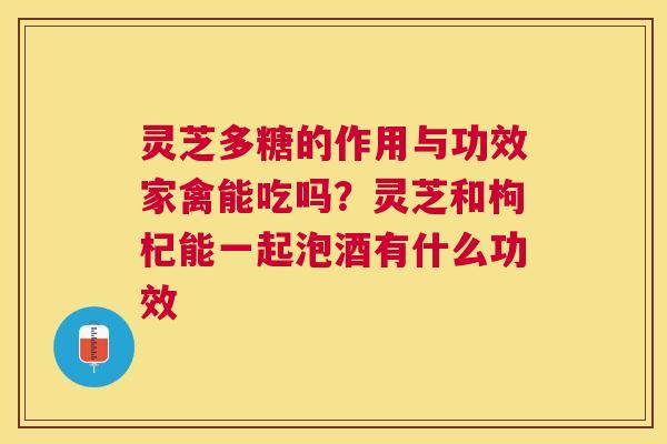 灵芝多糖的作用与功效家禽能吃吗?灵芝和枸杞能一起泡酒有什么功效 灵芝多糖的作用与功效家禽能吃吗?灵芝和枸杞能一起泡酒有什么功效