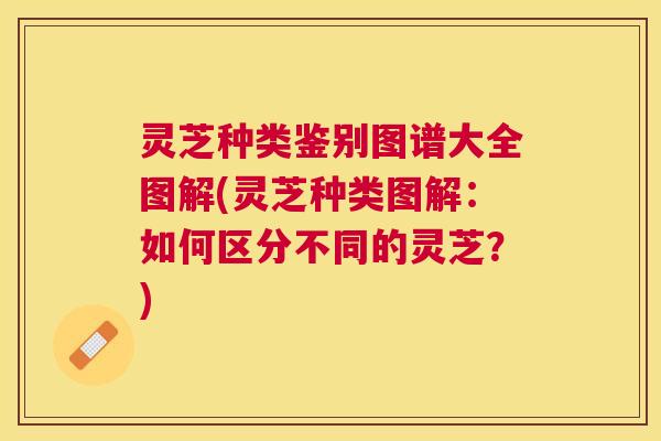 灵芝种类鉴别图谱大全图解(灵芝种类图解:如何区分不同的灵芝?) 灵芝种类鉴别图谱大全图解(灵芝种类图解:如何区分不同的灵芝?)