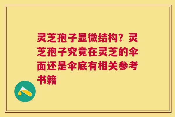 灵芝孢子显微结构?灵芝孢子究竟在灵芝的伞面还是伞底有相关参考书籍 灵芝孢子显微结构?灵芝孢子究竟在灵芝的伞面还是伞底有相关参考书籍