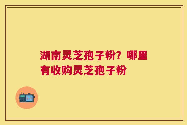 湖南灵芝孢子粉?哪里有收购灵芝孢子粉 湖南灵芝孢子粉?哪里有收购灵芝孢子粉