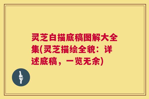 灵芝白描底稿图解大全集(灵芝描绘全貌:详述底稿,一览无余) 灵芝白描底稿图解大全集(灵芝描绘全貌:详述底稿,一览无余)