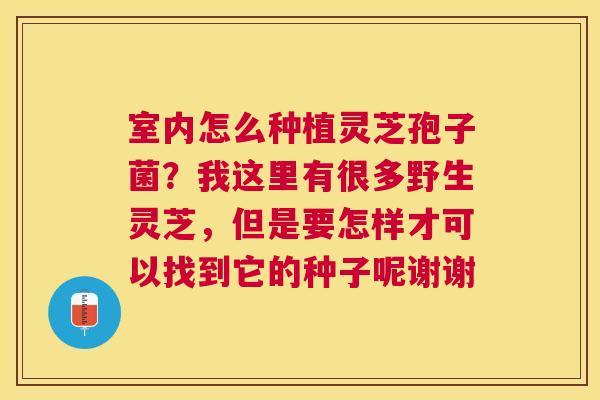 室内怎么种植灵芝孢子菌?我这里有很多野生灵芝,但是要怎样才可以找到它的种子呢谢谢 室内怎么种植灵芝孢子菌?我这里有很多野生灵芝,但是要怎样才可以找到它的种子呢谢谢