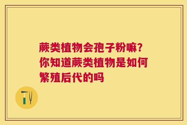 蕨类植物会孢子粉嘛?你知道蕨类植物是如何繁殖后代的吗 蕨类植物会孢子粉嘛?你知道蕨类植物是如何繁殖后代的吗