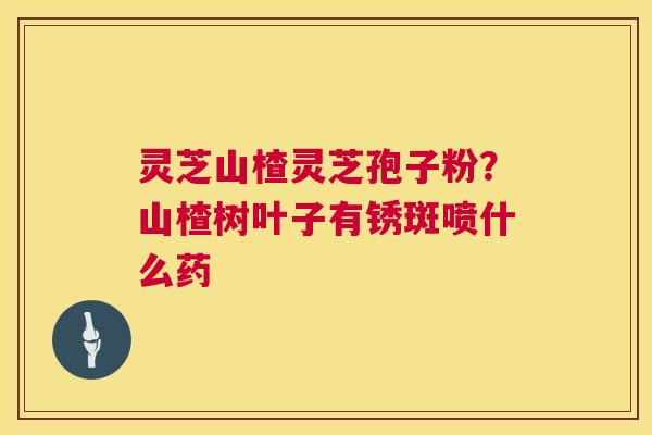 灵芝山楂灵芝孢子粉?山楂树叶子有锈斑喷什么药 灵芝山楂灵芝孢子粉?山楂树叶子有锈斑喷什么药