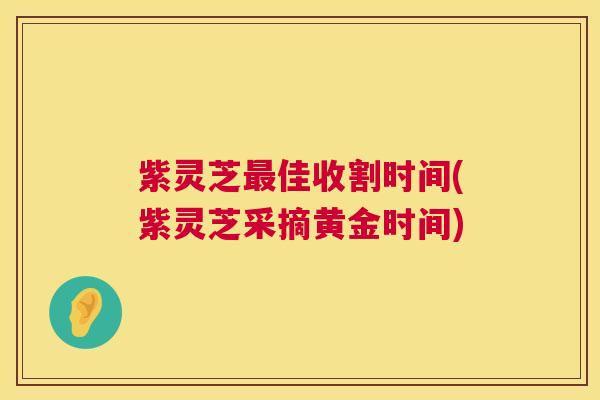 紫灵芝佳收割时间(紫灵芝采摘黄金时间) 紫灵芝佳收割时间(紫灵芝采摘黄金时间)