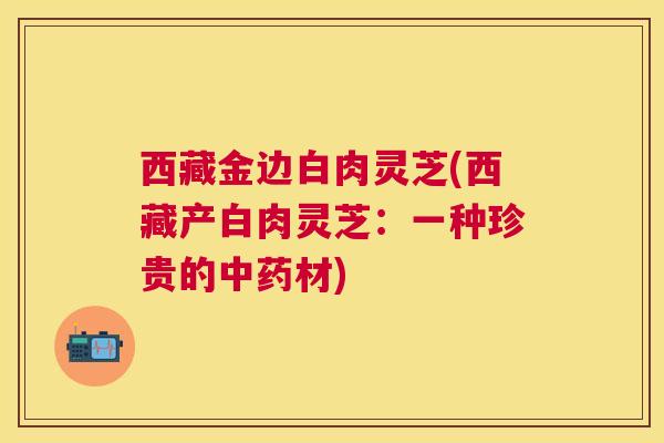 西藏金边白肉灵芝(西藏产白肉灵芝:一种珍贵的材) 西藏金边白肉灵芝(西藏产白肉灵芝:一种珍贵的材)
