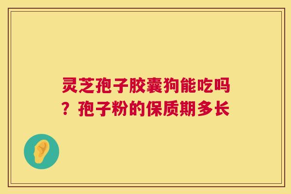 灵芝孢子胶囊狗能吃吗?孢子粉的保质期多长 灵芝孢子胶囊狗能吃吗?孢子粉的保质期多长