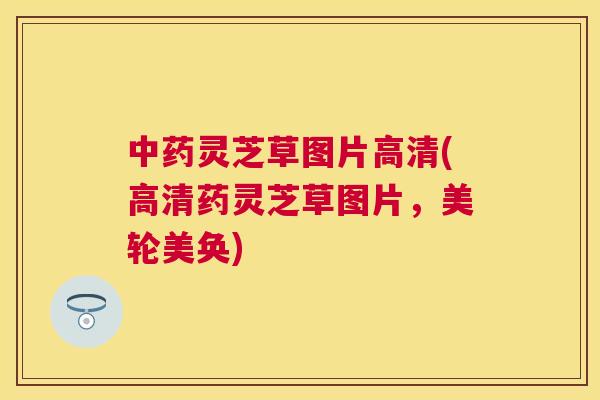 灵芝草图片高清(高清药灵芝草图片,美轮美奂) 灵芝草图片高清(高清药灵芝草图片,美轮美奂)