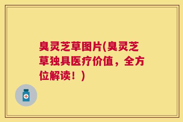 臭灵芝草图片(臭灵芝草独具医疗价值,全方位解读!) 臭灵芝草图片(臭灵芝草独具医疗价值,全方位解读!)