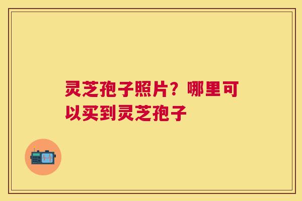 灵芝孢子照片?哪里可以买到灵芝孢子 灵芝孢子照片?哪里可以买到灵芝孢子