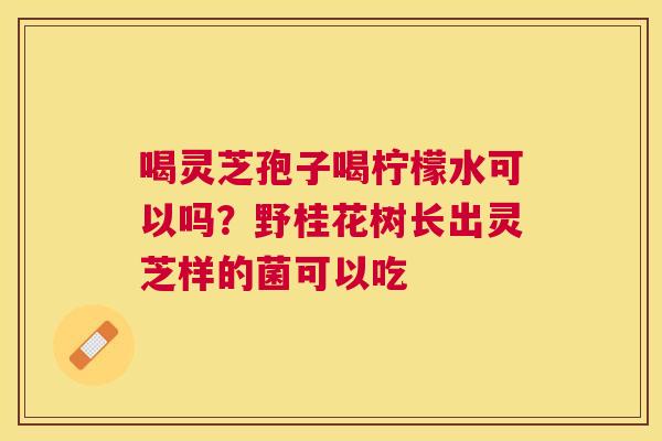 喝灵芝孢子喝柠檬水可以吗?野桂花树长出灵芝样的菌可以吃 喝灵芝孢子喝柠檬水可以吗?野桂花树长出灵芝样的菌可以吃