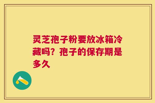 灵芝孢子粉要放冰箱冷藏吗?孢子的保存期是多久 灵芝孢子粉要放冰箱冷藏吗?孢子的保存期是多久