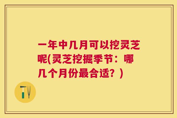 一年中几月可以挖灵芝呢(灵芝挖掘季节:哪几个月份合适?) 一年中几月可以挖灵芝呢(灵芝挖掘季节:哪几个月份合适?)