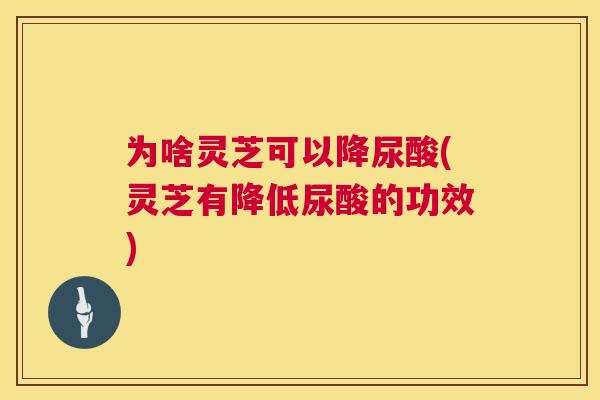 为啥灵芝可以降尿酸(灵芝有降低尿酸的功效) 为啥灵芝可以降尿酸(灵芝有降低尿酸的功效)