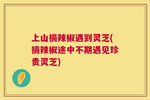 上山摘辣椒遇到灵芝(摘辣椒途中不期遇见珍贵灵芝) 上山摘辣椒遇到灵芝(摘辣椒途中不期遇见珍贵灵芝)