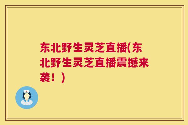 东北野生灵芝直播(东北野生灵芝直播震撼来袭!) 东北野生灵芝直播(东北野生灵芝直播震撼来袭!)