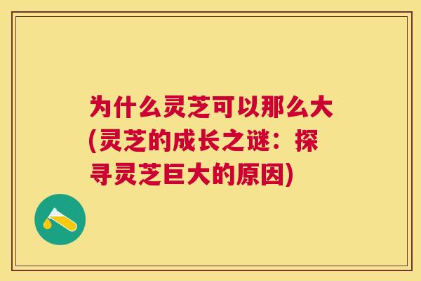 为什么灵芝可以那么大(灵芝的成长之谜:探寻灵芝巨大的原因) 为什么灵芝可以那么大(灵芝的成长之谜:探寻灵芝巨大的原因)