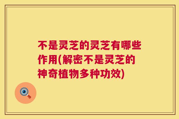 不是灵芝的灵芝有哪些作用(解密不是灵芝的神奇植物多种功效) 不是灵芝的灵芝有哪些作用(解密不是灵芝的神奇植物多种功效)