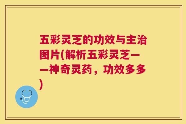 五彩灵芝的功效与主图片(解析五彩灵芝——神奇灵药,功效多多) 五彩灵芝的功效与主图片(解析五彩灵芝——神奇灵药,功效多多)