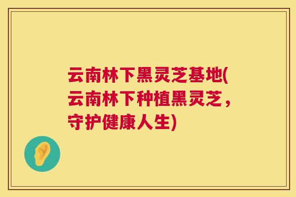 云南林下黑灵芝基地(云南林下种植黑灵芝,守护健康人生) 云南林下黑灵芝基地(云南林下种植黑灵芝,守护健康人生)