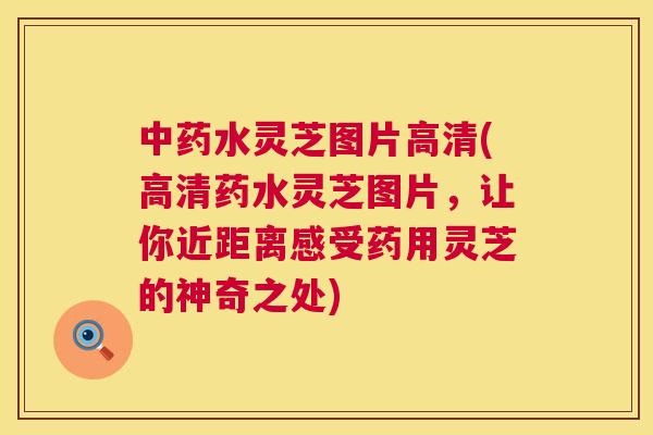 水灵芝图片高清(高清药水灵芝图片,让你近距离感受药用灵芝的神奇之处) 水灵芝图片高清(高清药水灵芝图片,让你近距离感受药用灵芝的神奇之处)