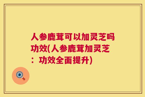 人参鹿茸可以加灵芝吗功效(人参鹿茸加灵芝:功效全面提升) 人参鹿茸可以加灵芝吗功效(人参鹿茸加灵芝:功效全面提升)