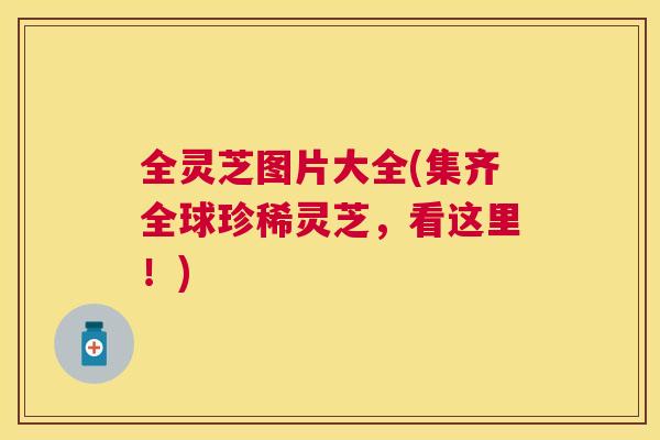 全灵芝图片大全(集齐全球珍稀灵芝,看这里!) 全灵芝图片大全(集齐全球珍稀灵芝,看这里!)