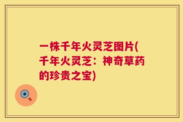 一株千年火灵芝图片(千年火灵芝:神奇草药的珍贵之宝) 一株千年火灵芝图片(千年火灵芝:神奇草药的珍贵之宝)