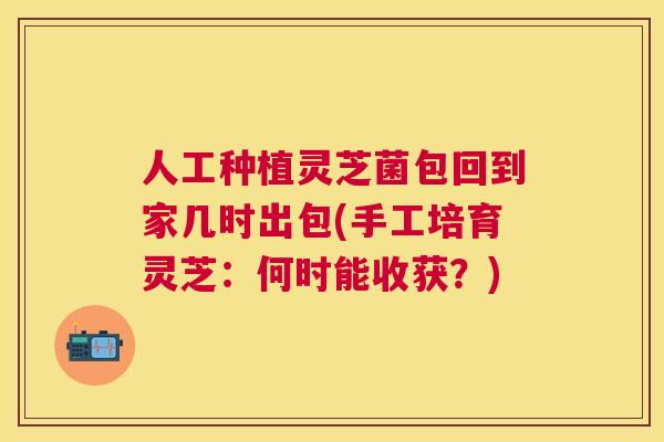 人工种植灵芝菌包回到家几时出包(手工培育灵芝:何时能收获?) 人工种植灵芝菌包回到家几时出包(手工培育灵芝:何时能收获?)