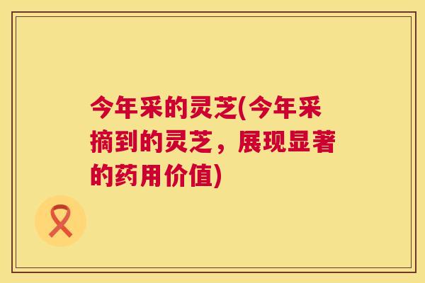 今年采的灵芝(今年采摘到的灵芝,展现显著的药用价值) 今年采的灵芝(今年采摘到的灵芝,展现显著的药用价值)