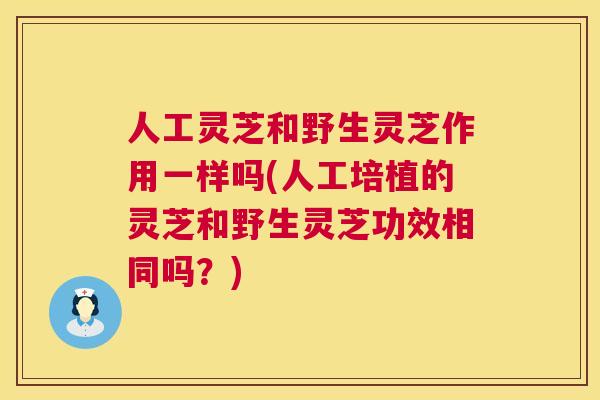 人工灵芝和野生灵芝作用一样吗(人工培植的灵芝和野生灵芝功效相同吗?) 人工灵芝和野生灵芝作用一样吗(人工培植的灵芝和野生灵芝功效相同吗?)