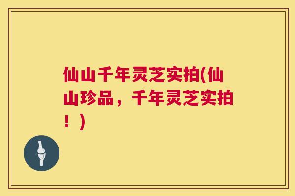 仙山千年灵芝实拍(仙山珍品,千年灵芝实拍!) 仙山千年灵芝实拍(仙山珍品,千年灵芝实拍!)