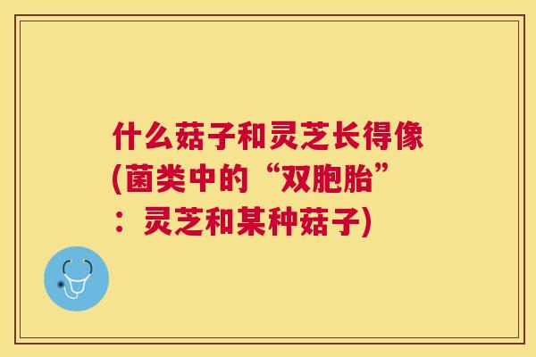 什么菇子和灵芝长得像(菌类中的“双胞胎”:灵芝和某种菇子) 什么菇子和灵芝长得像(菌类中的“双胞胎”:灵芝和某种菇子)