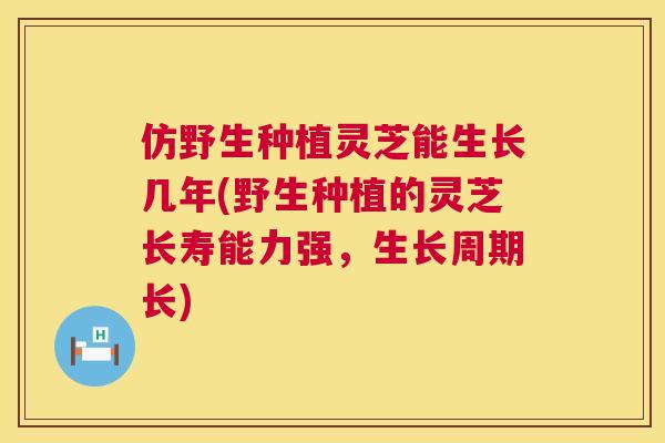 仿野生种植灵芝能生长几年(野生种植的灵芝长寿能力强,生长周期长) 仿野生种植灵芝能生长几年(野生种植的灵芝长寿能力强,生长周期长)