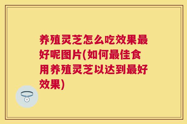养殖灵芝怎么吃效果好呢图片(如何佳食用养殖灵芝以达到好效果) 养殖灵芝怎么吃效果好呢图片(如何佳食用养殖灵芝以达到好效果)