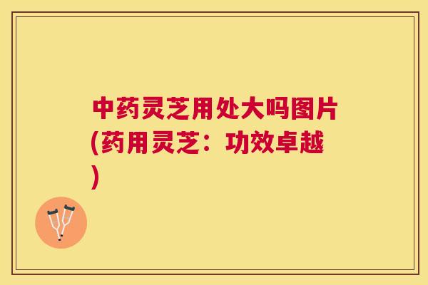 灵芝用处大吗图片(药用灵芝:功效卓越) 灵芝用处大吗图片(药用灵芝:功效卓越)
