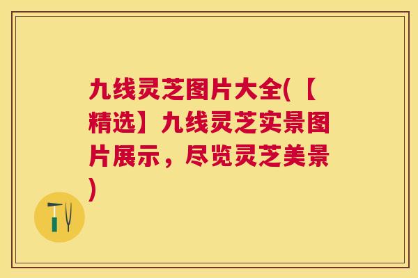九线灵芝图片大全(【精选】九线灵芝实景图片展示,尽览灵芝美景) 九线灵芝图片大全(【精选】九线灵芝实景图片展示,尽览灵芝美景)