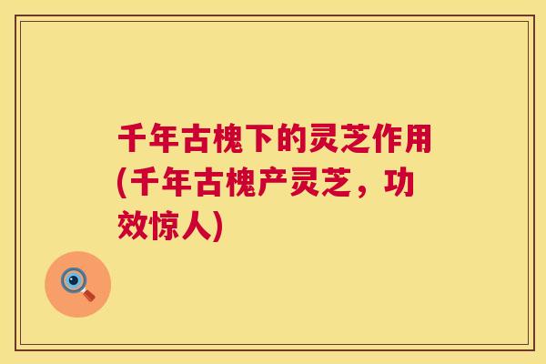 千年古槐下的灵芝作用(千年古槐产灵芝,功效惊人) 千年古槐下的灵芝作用(千年古槐产灵芝,功效惊人)
