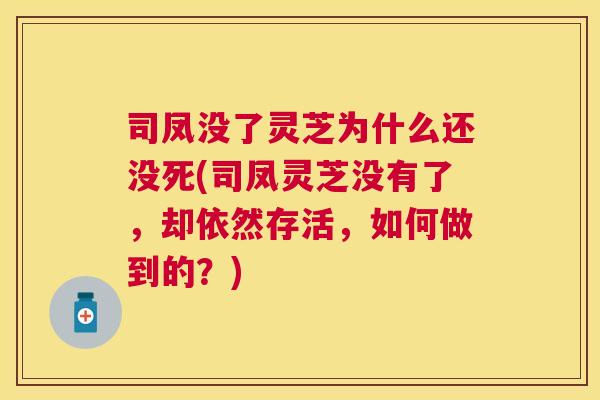 司凤没了灵芝为什么还没死(司凤灵芝没有了,却依然存活,如何做到的?) 司凤没了灵芝为什么还没死(司凤灵芝没有了,却依然存活,如何做到的?)