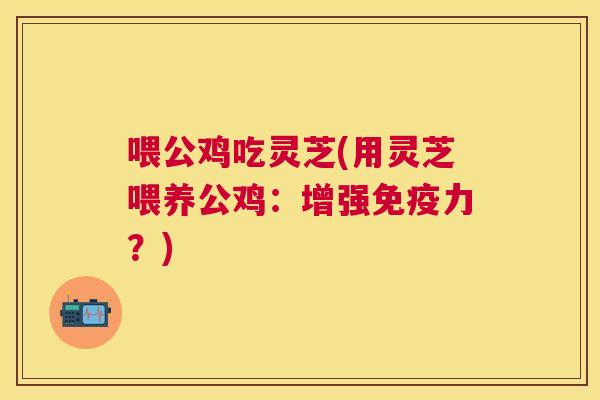 喂公鸡吃灵芝(用灵芝喂养公鸡:增强免疫力?) 喂公鸡吃灵芝(用灵芝喂养公鸡:增强免疫力?)