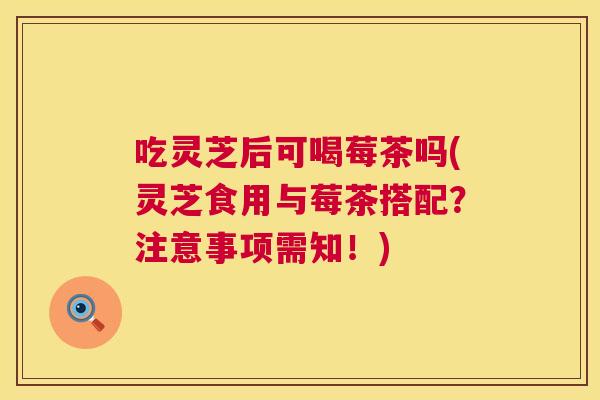 吃灵芝后可喝莓茶吗(灵芝食用与莓茶搭配?注意事项需知!) 吃灵芝后可喝莓茶吗(灵芝食用与莓茶搭配?注意事项需知!)