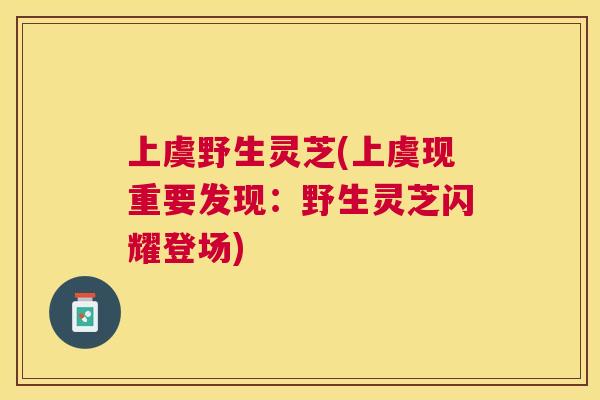 上虞野生灵芝(上虞现重要发现:野生灵芝闪耀登场) 上虞野生灵芝(上虞现重要发现:野生灵芝闪耀登场)
