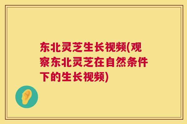 东北灵芝生长视频(观察东北灵芝在自然条件下的生长视频) 东北灵芝生长视频(观察东北灵芝在自然条件下的生长视频)