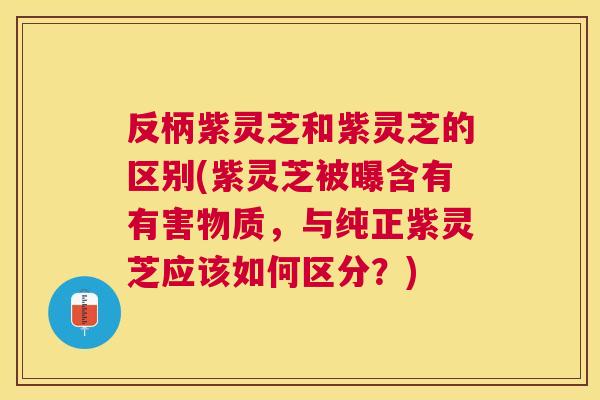 反柄紫灵芝和紫灵芝的区别(紫灵芝被曝含有有害物质,与纯正紫灵芝应该如何区分?) 反柄紫灵芝和紫灵芝的区别(紫灵芝被曝含有有害物质,与纯正紫灵芝应该如何区分?)